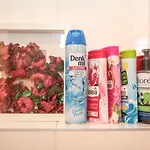 Apartment Stylish Flora *